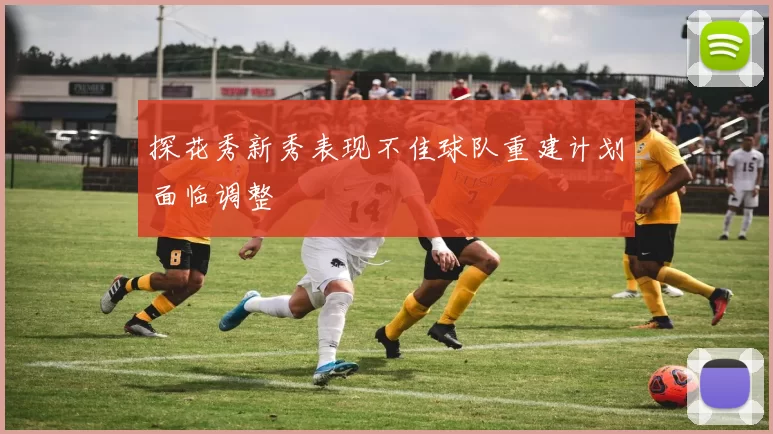 探花秀新秀表现不佳球队重建计划面临调整