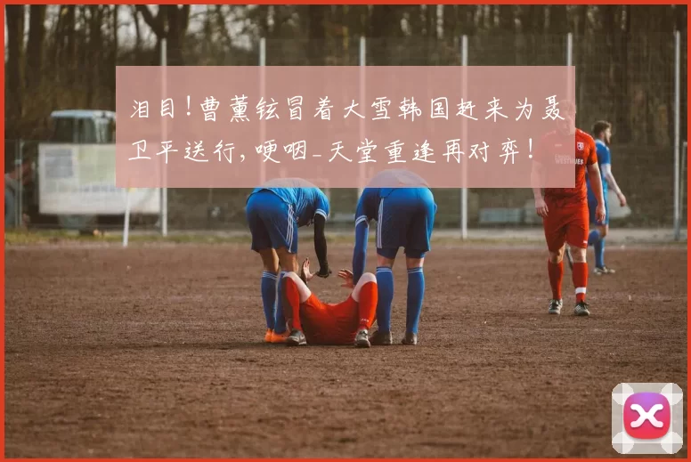 泪目!曹薰铉冒着大雪韩国赶来为聂卫平送行,哽咽_天堂重逢再对弈!